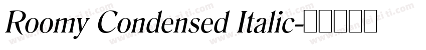 Roomy Condensed Italic字体转换